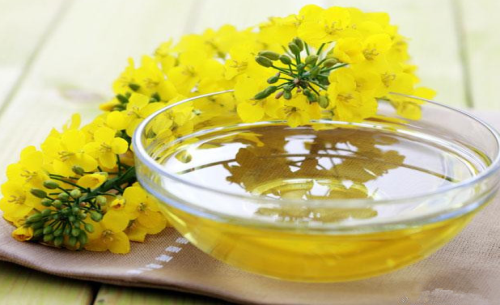 菜油期貨手續(xù)費(fèi)標(biāo)準(zhǔn)，怎么降低菜油