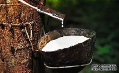 橡膠上漲仍可期，焦炭期現(xiàn)聯(lián)動，向