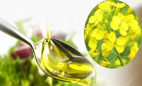 菜粕期貨買入手續(xù)費(fèi)支出額度低嗎？