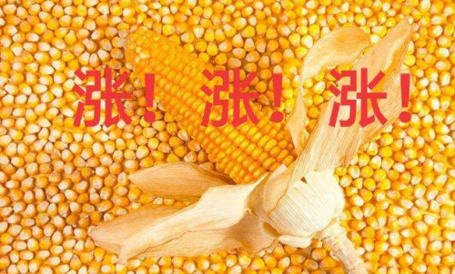 玉米期貨開戶要驗資嗎？為何不能買