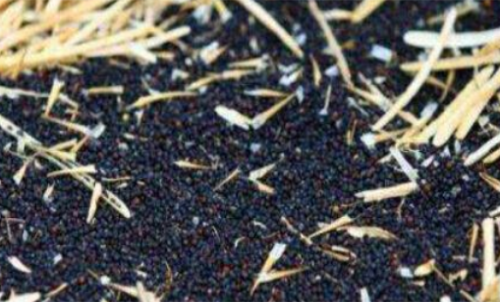 新手計(jì)算菜粕期貨的手續(xù)費(fèi)簡單嗎？